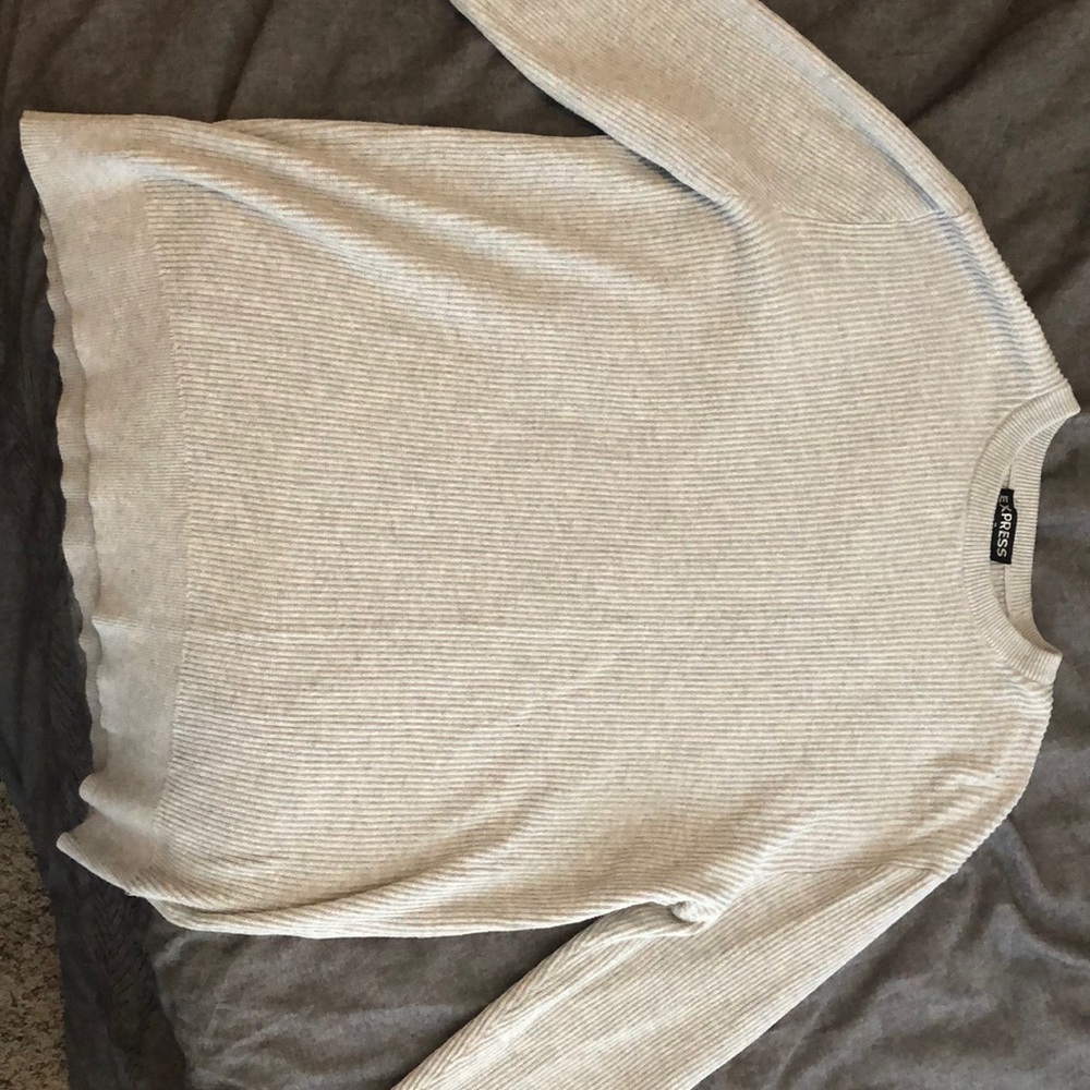 Express light weight sweater